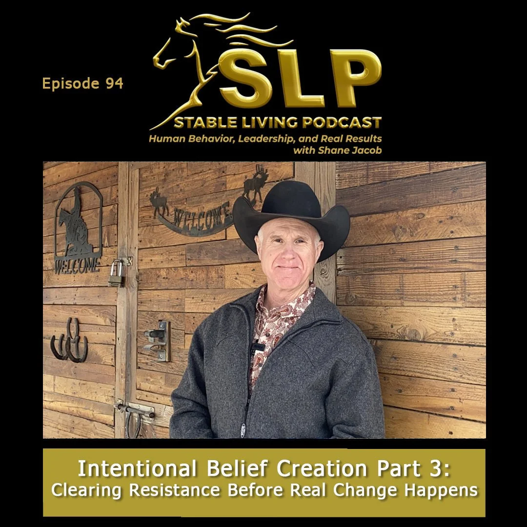 Episode 94: Intentional Belief Creation Part 3: Clearing Resistance Before Real Change Happens
