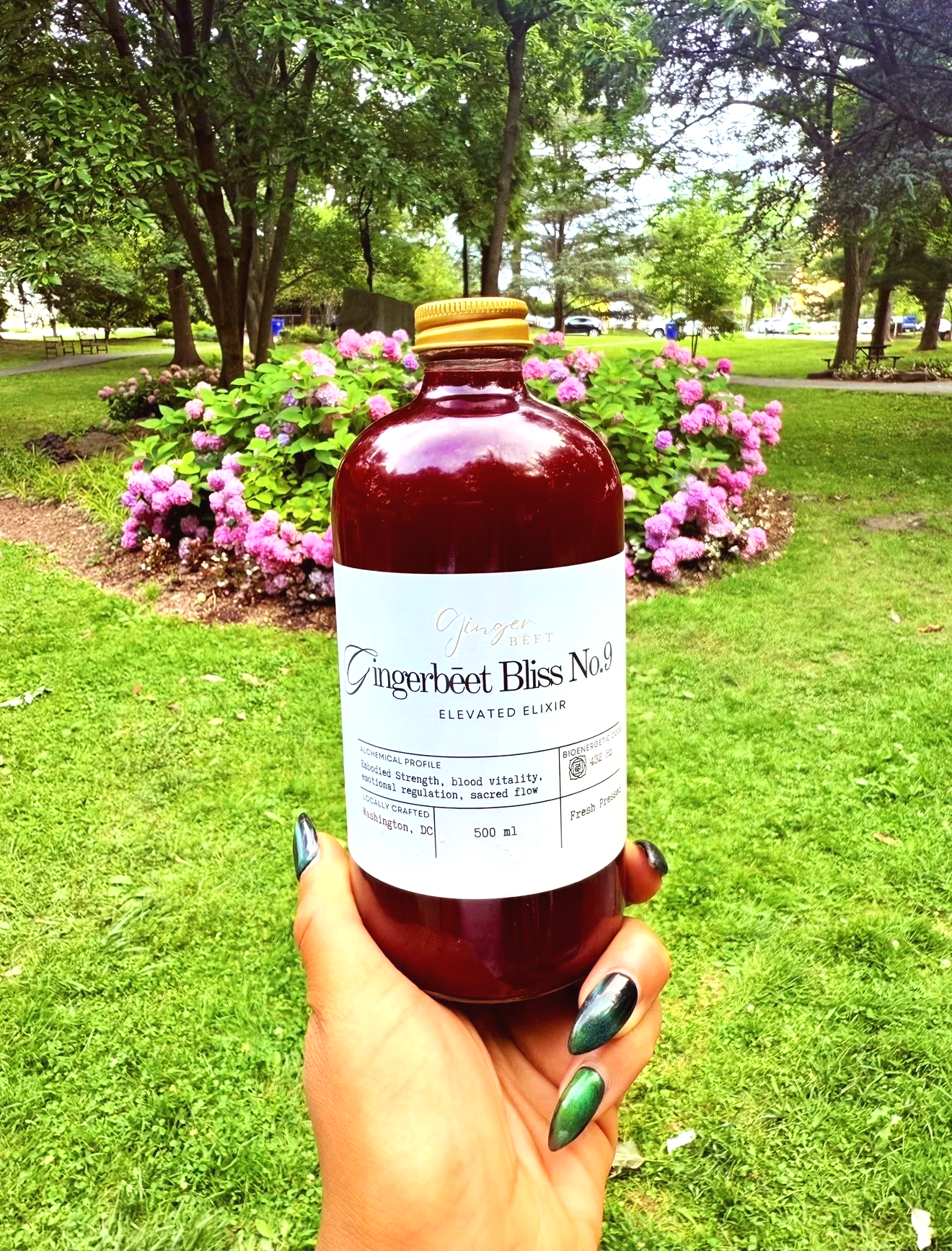 Fresh pressed zero proof non alcoholic elevated elixir