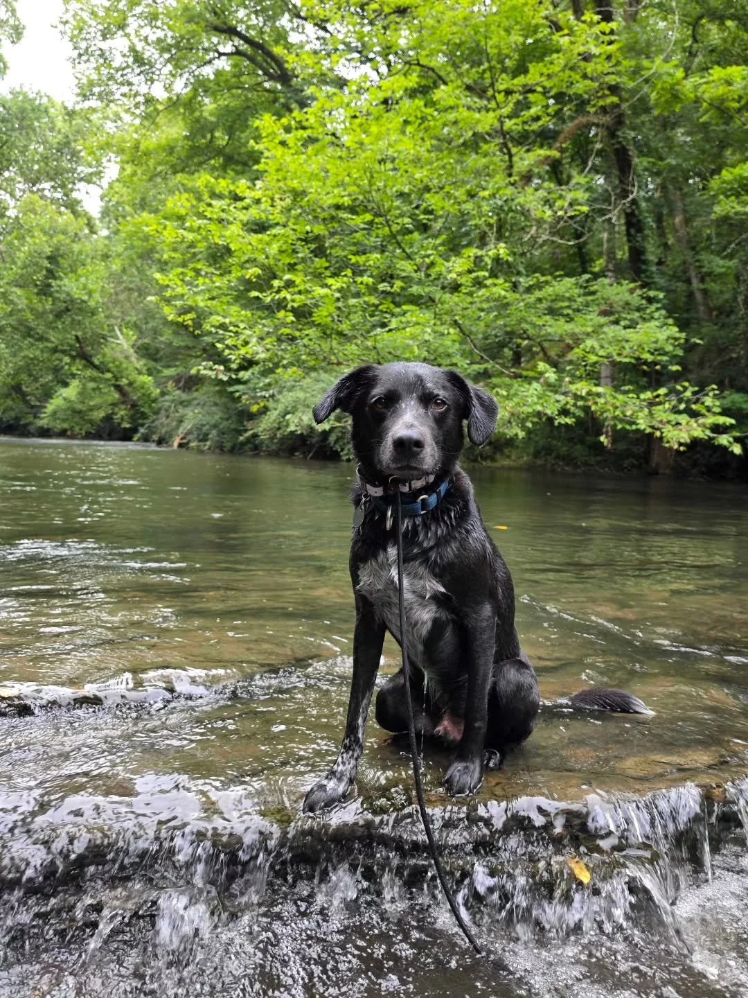 Beating the heat with the pack!