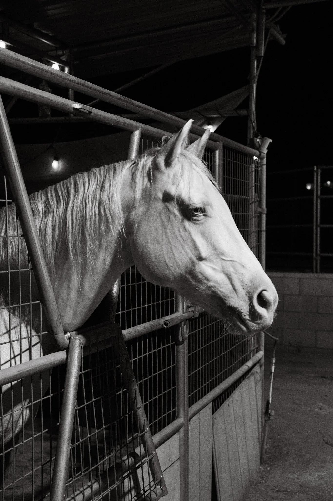 SaddleSocial_20260911-22.jpg