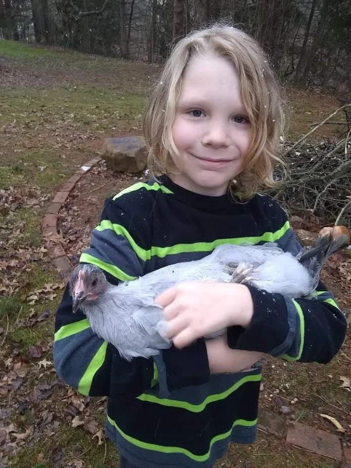 A young boy with blonde hair and a striped black and green sweatshirt is outdoors in a wooded area, holding a small, light gray chicken.