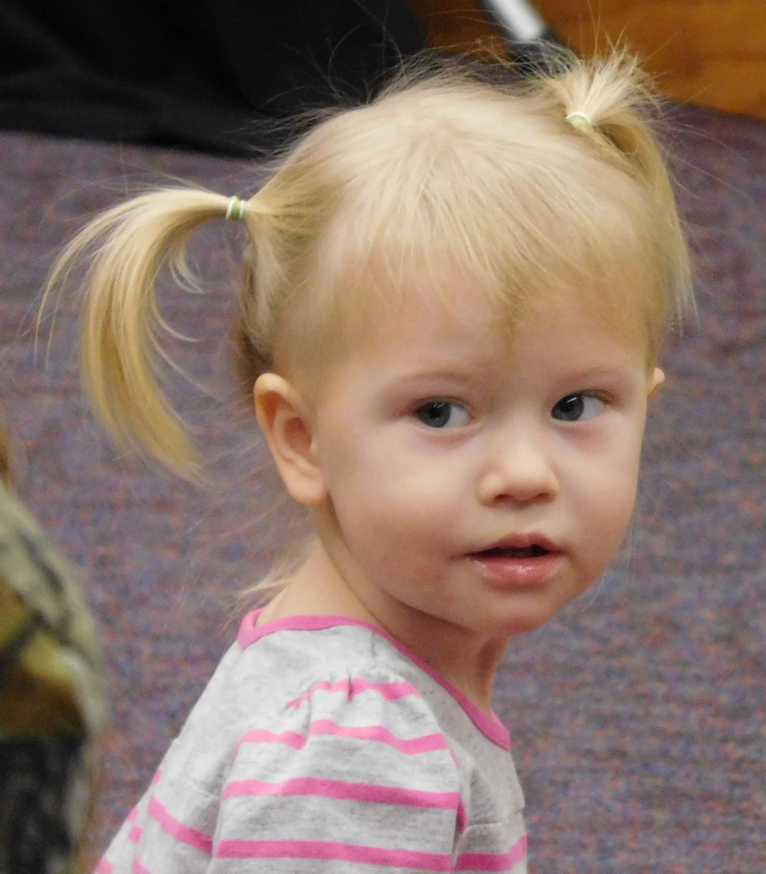 A young girl with blonde hair styled in two pigtails secured with green hair ties, looking up at the camera. She has blue eyes and is wearing a gray shirt with pink and white stripes.