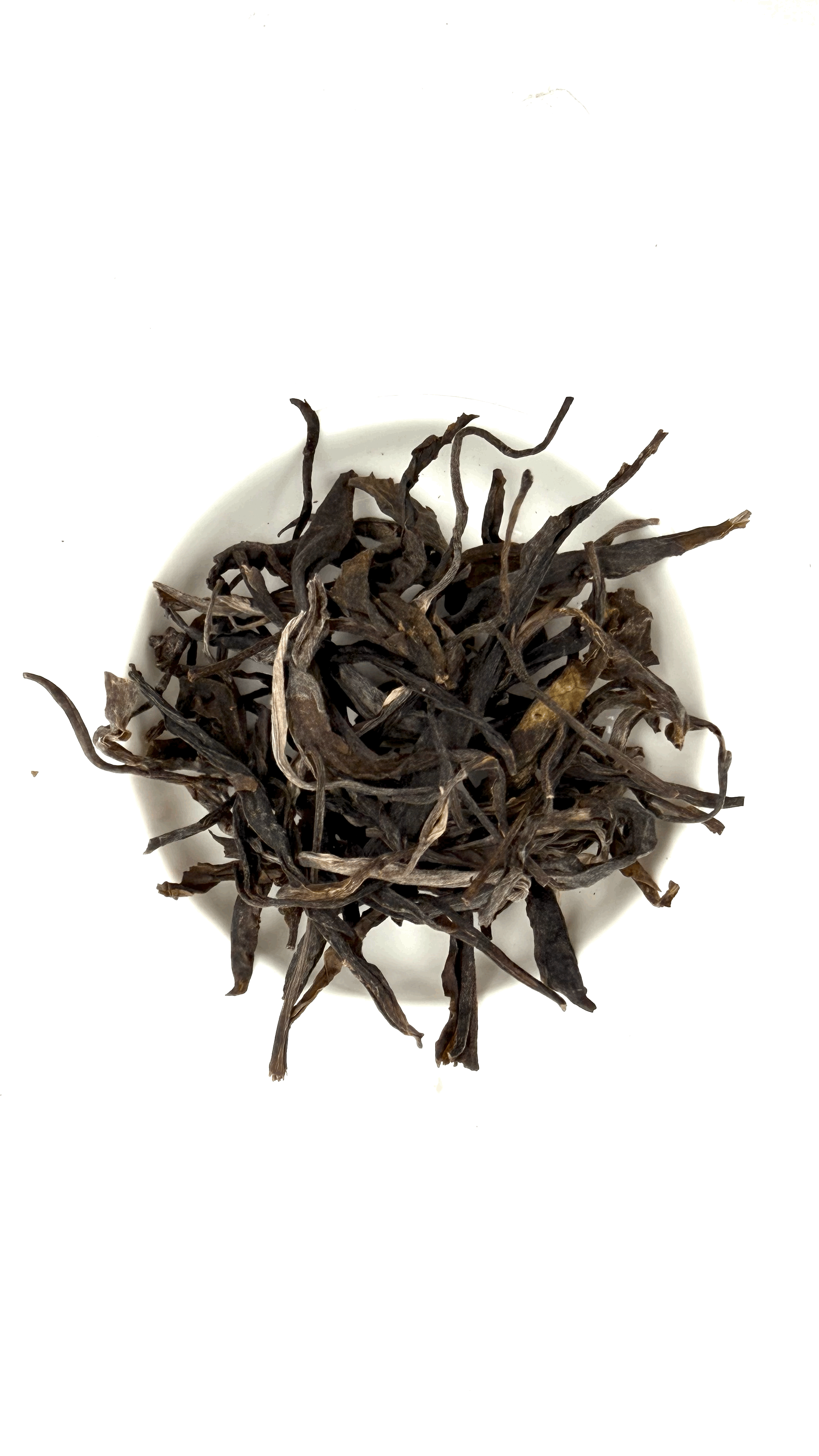 Wild Yellow Tea
