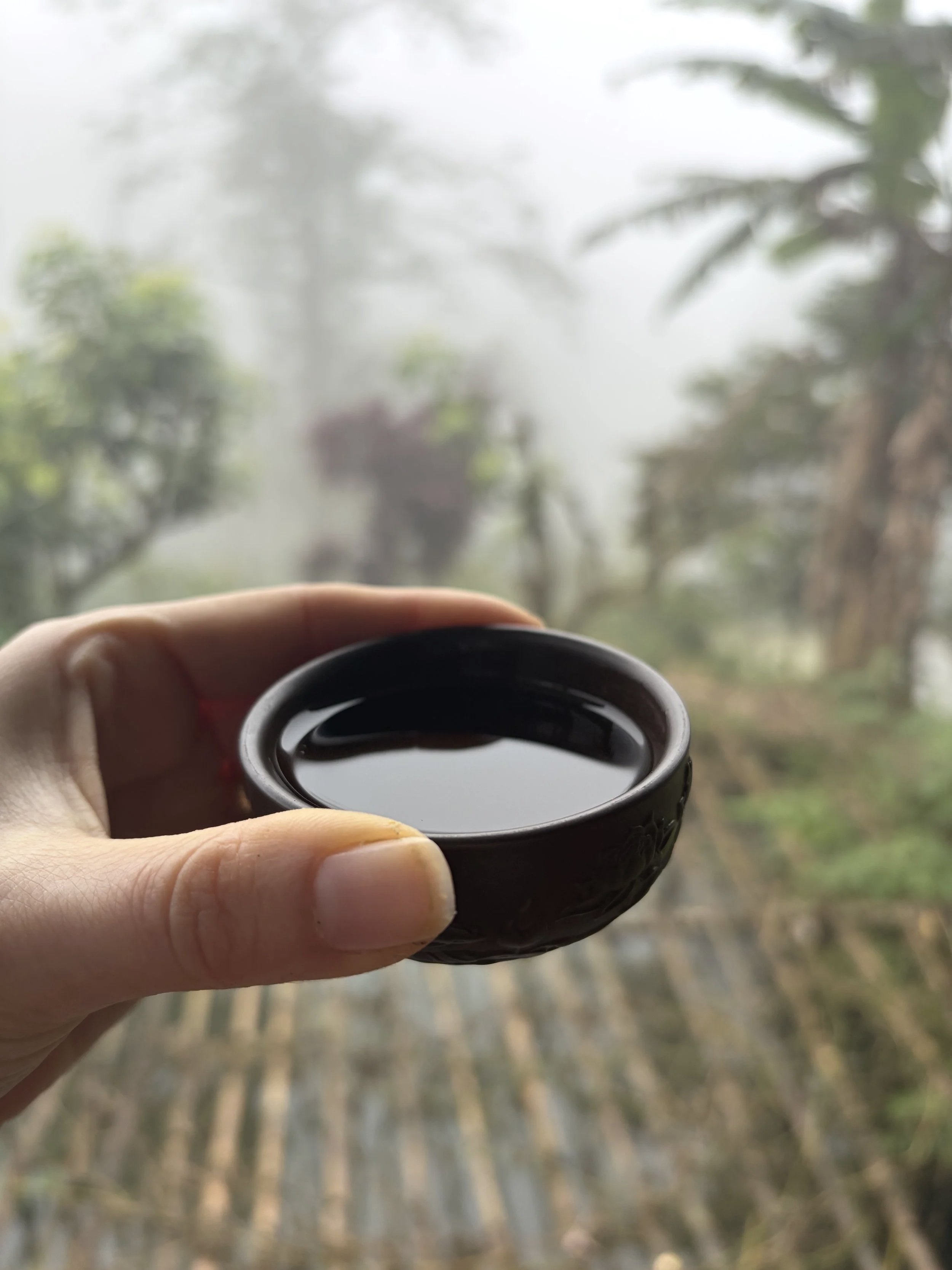 Person holding a small black cup filled with dark liquid, with a blurred outdoor background of trees and sky.