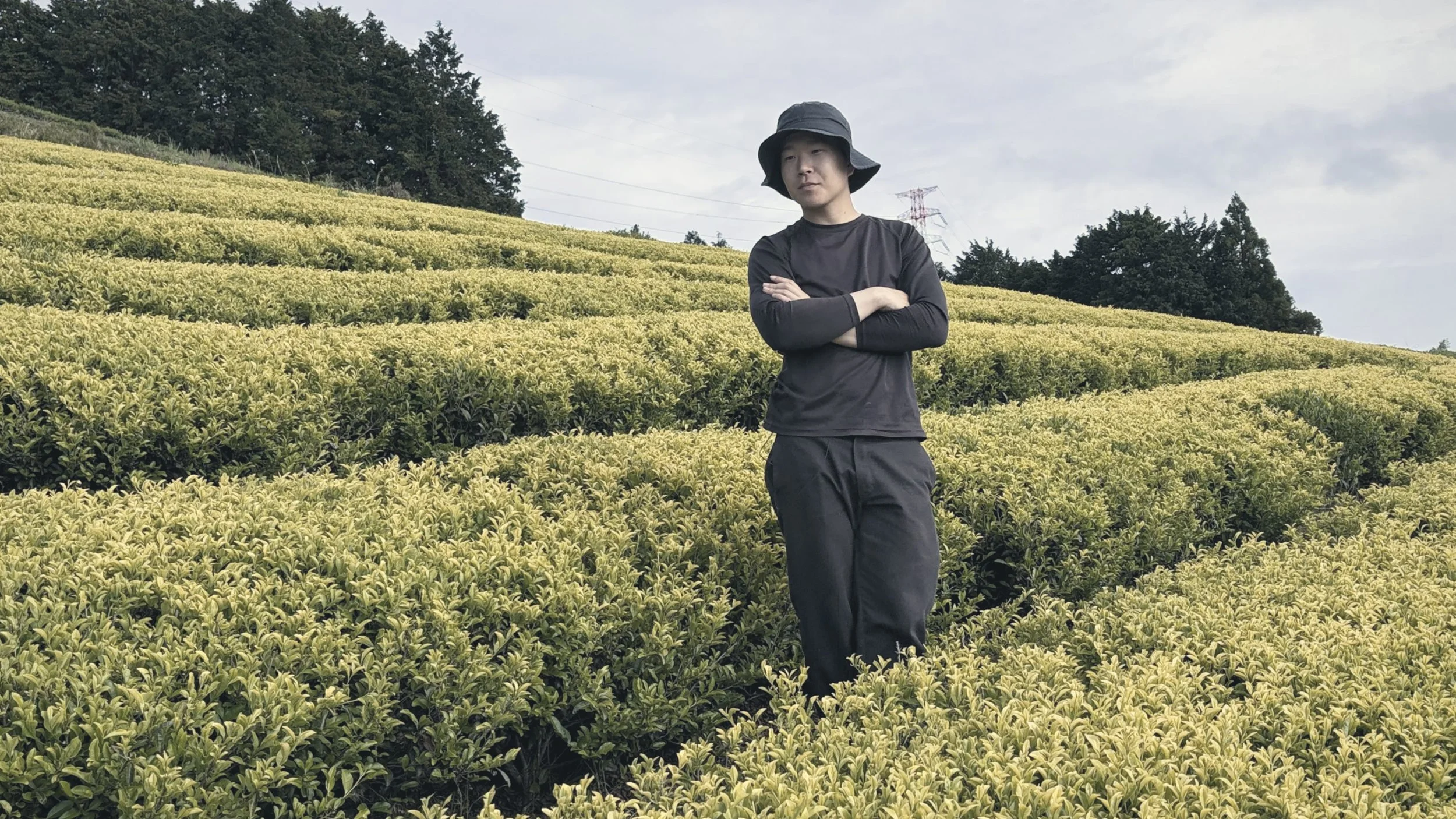 Young tea master stands in his terraced tea field.