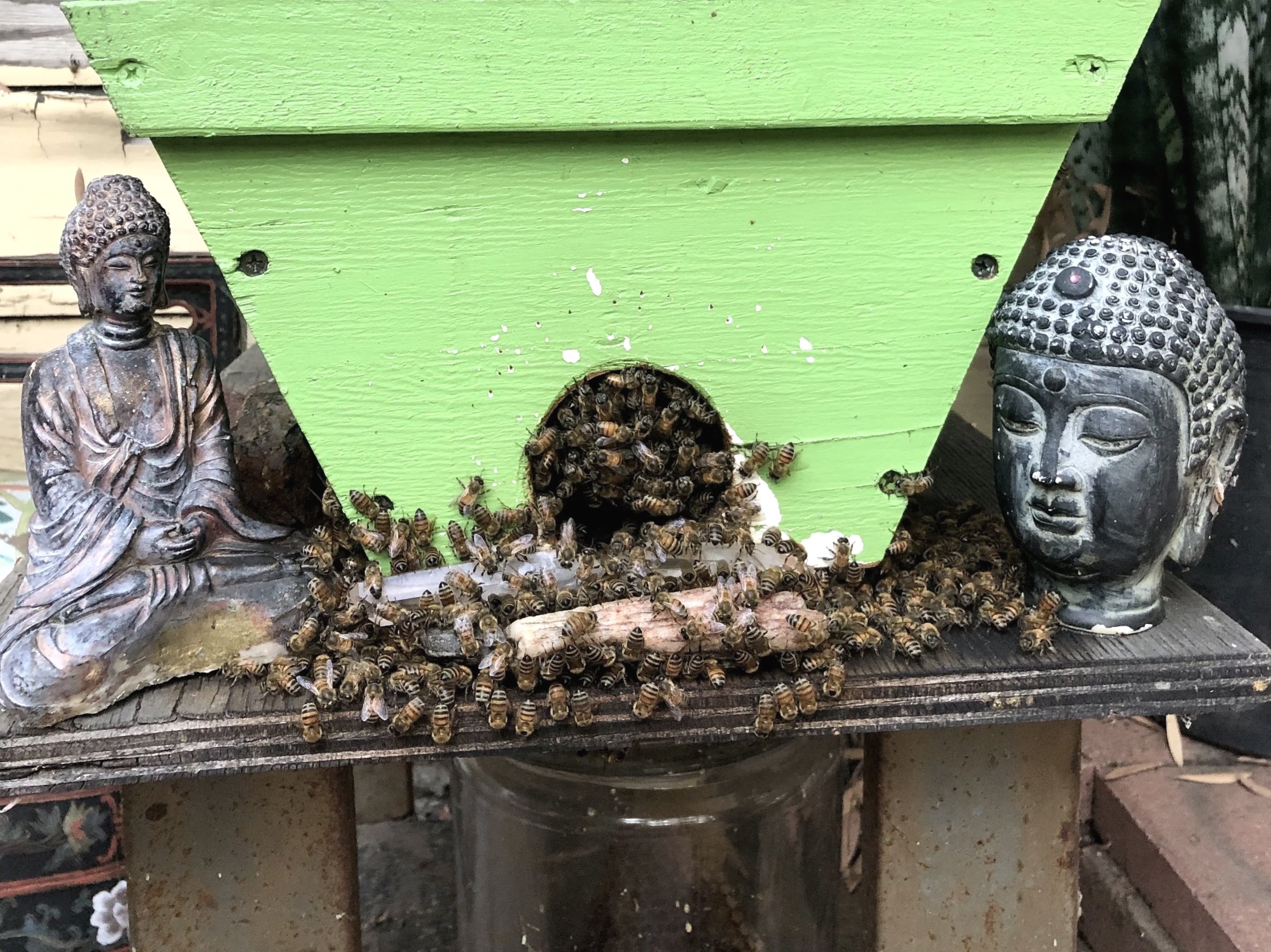 A green wooden bee house with a circular opening at the bottom, surrounded by a swarm of bees. Two Buddha statues flanking the bee house, one on each side, on a weathered wooden surface.