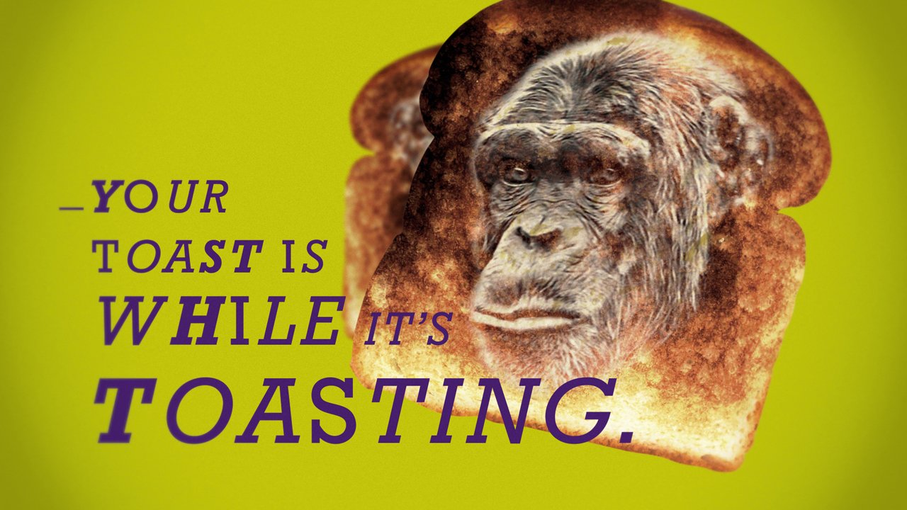 420-Shorts_TOASTER_05-0.00.01.05_2048.jpg