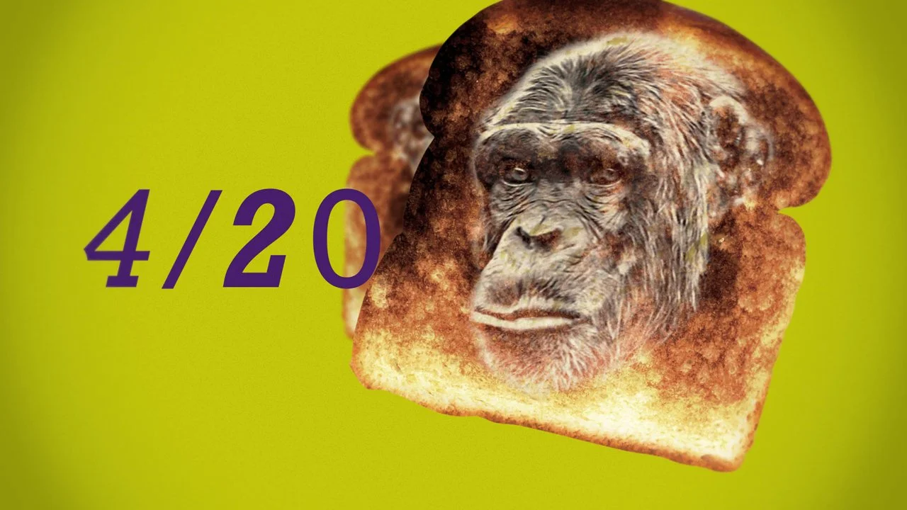 420-Shorts_TOASTER_06-0.00.01.05_2048.jpg