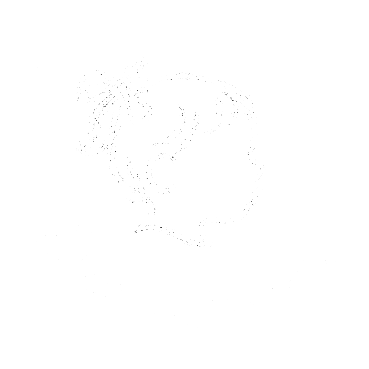 Dear Daisy