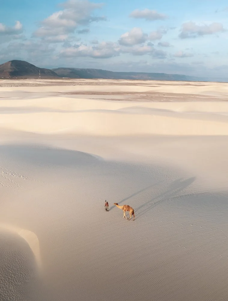 camel-drone-traveling-socotra.jpg