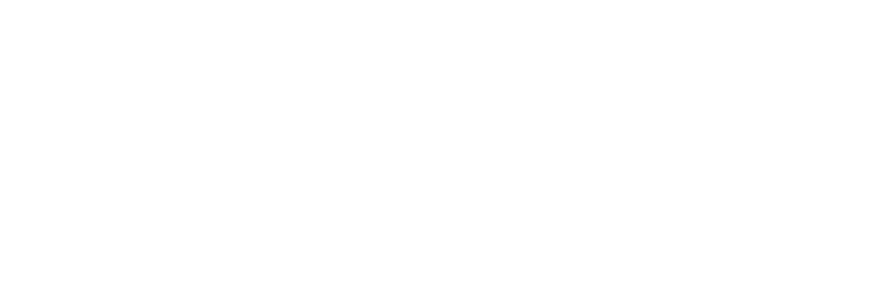 Text on a black background reading 'Custom API' in large white letters.