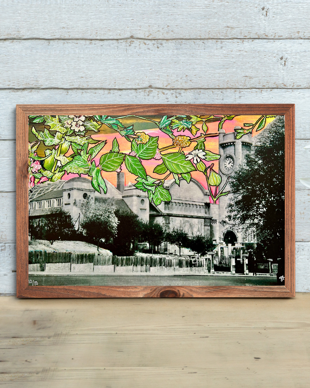 Horniman Gardens - Main Image (Framed).png