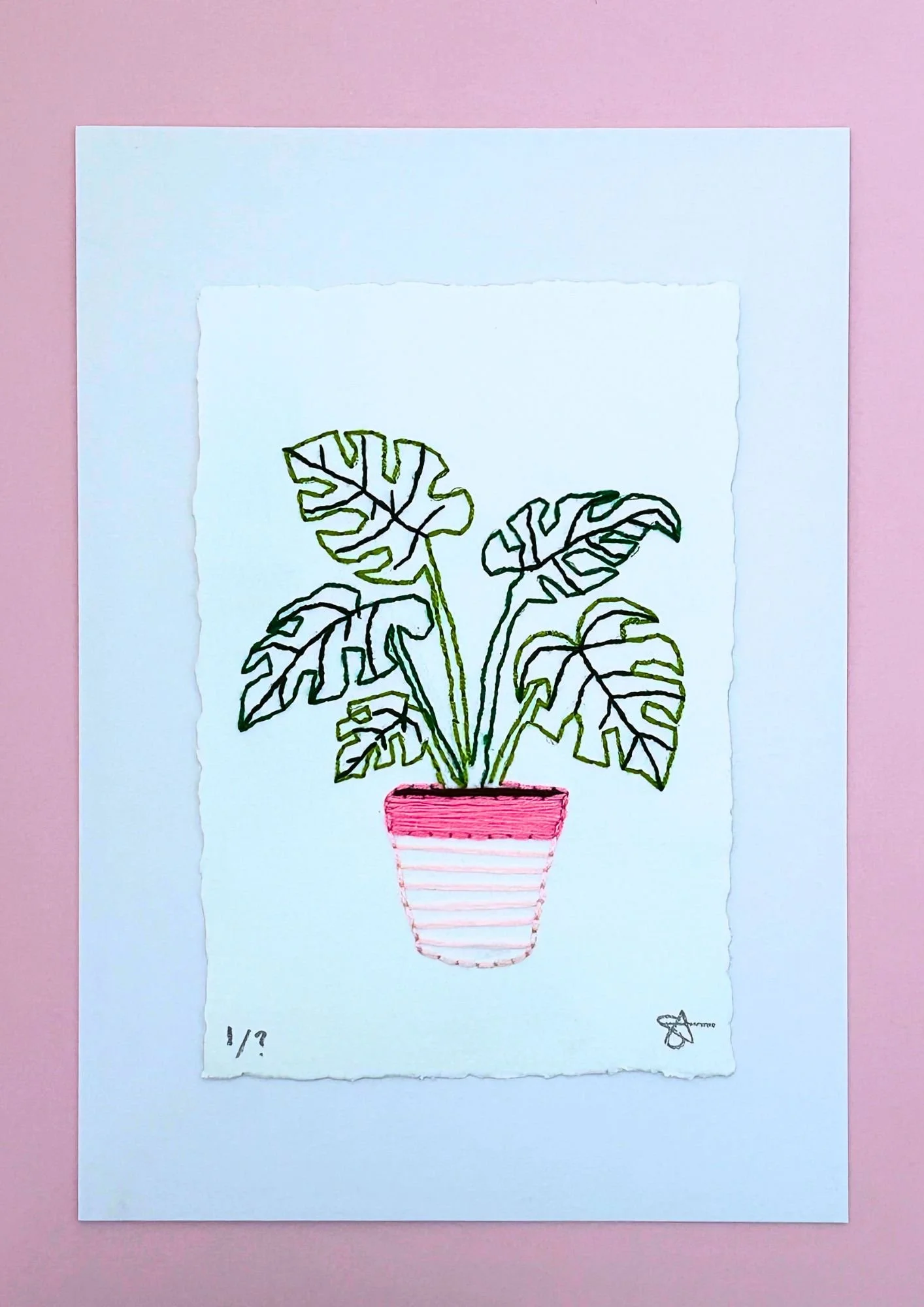 monstera pink.jpg