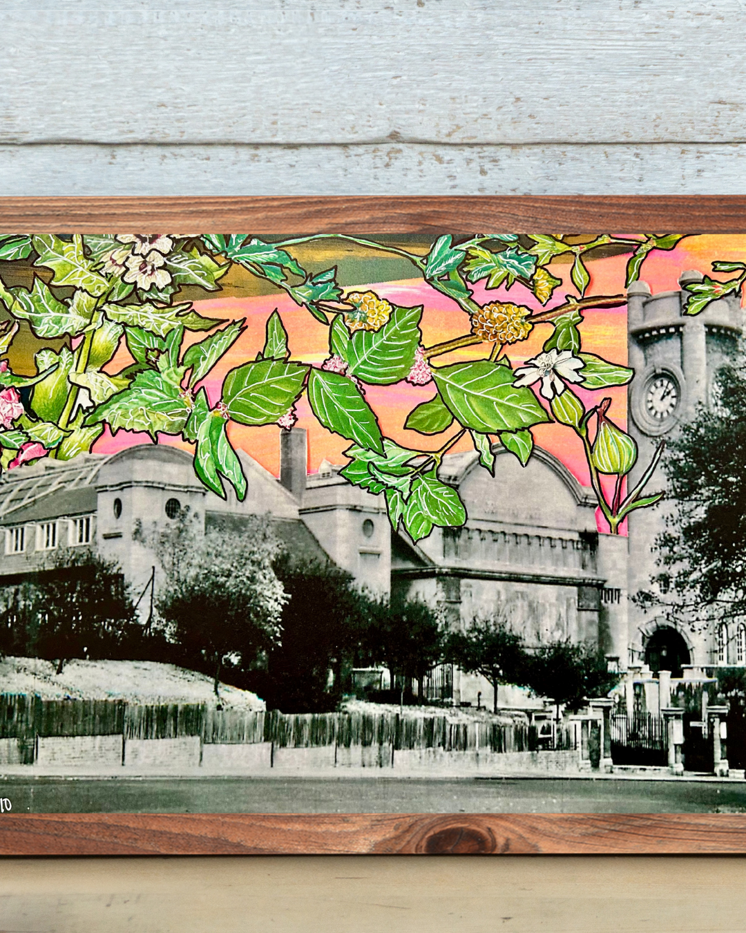 Horniman Gardens - Close-Up.png