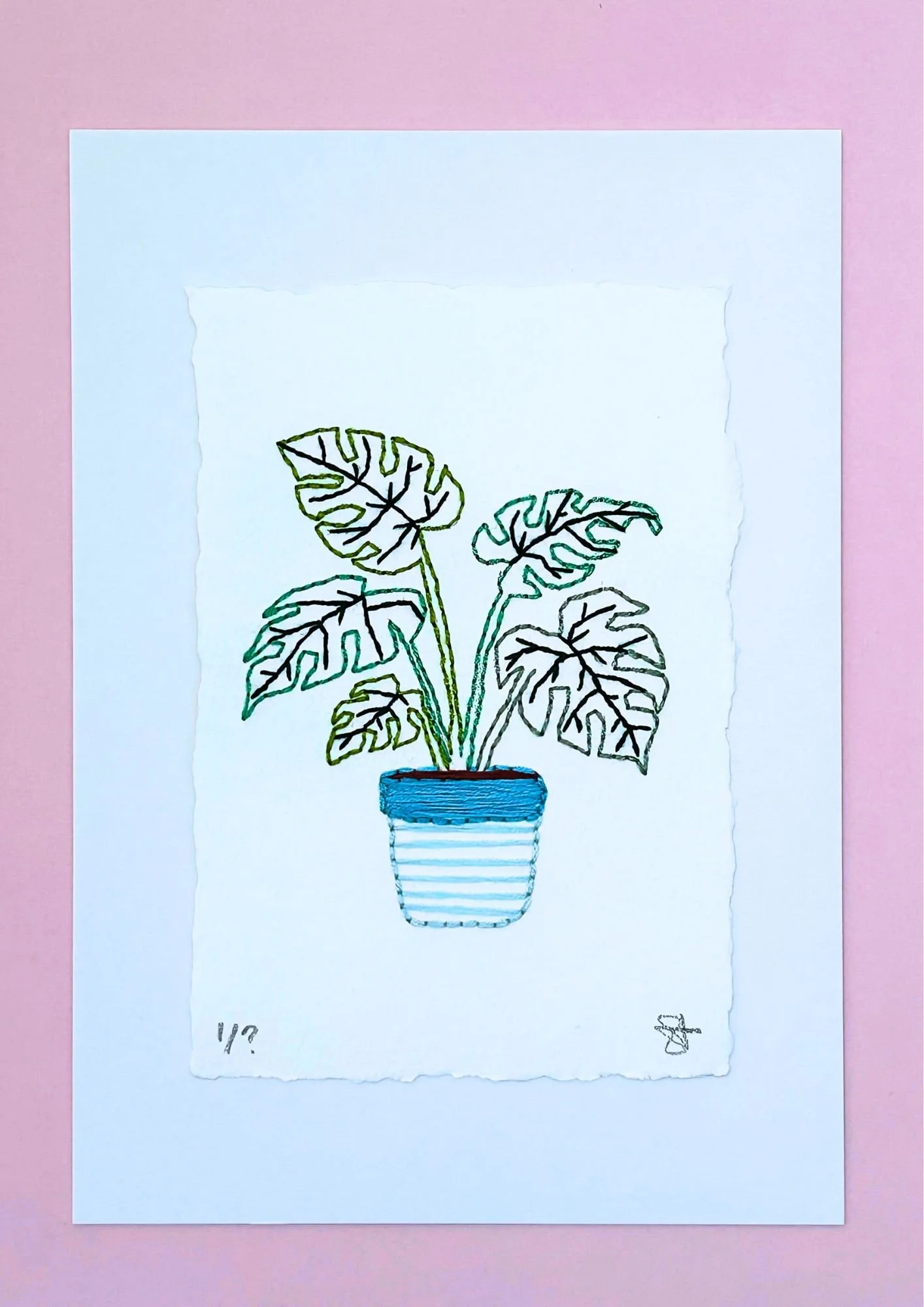 Monstera Blue (2).jpg