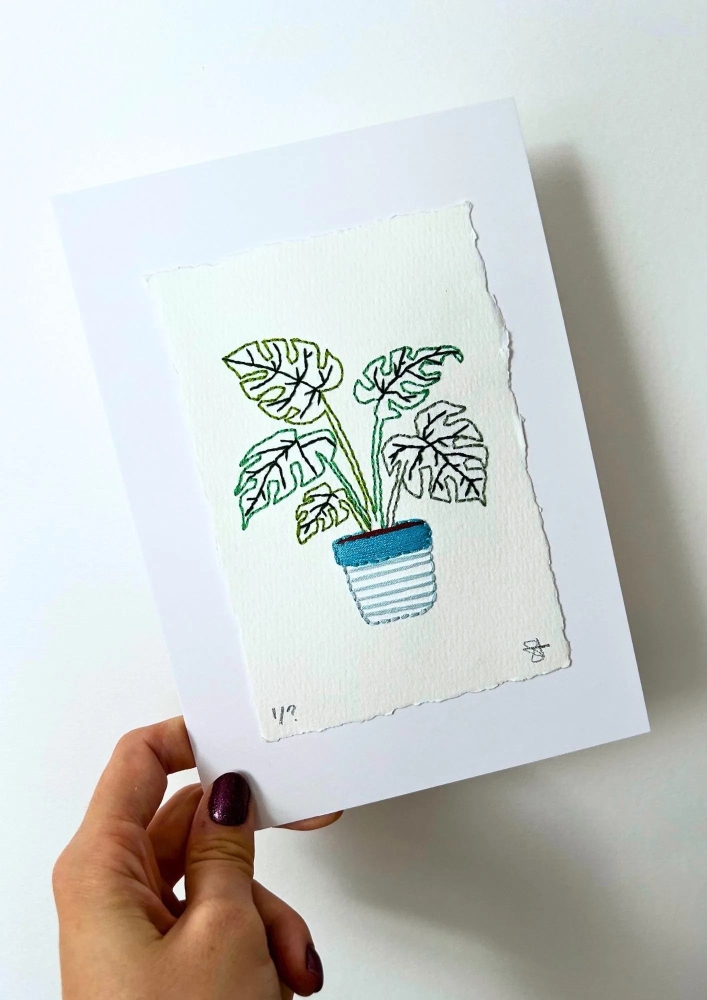 Monstera Blue (1).jpg