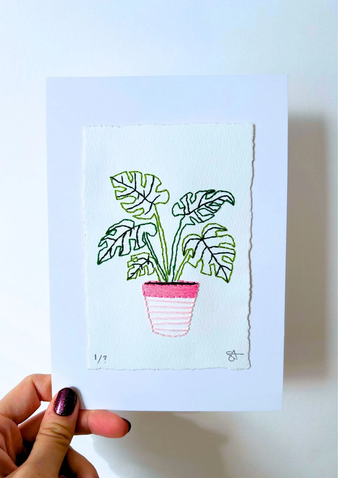 Copy of monstera pink.jpg