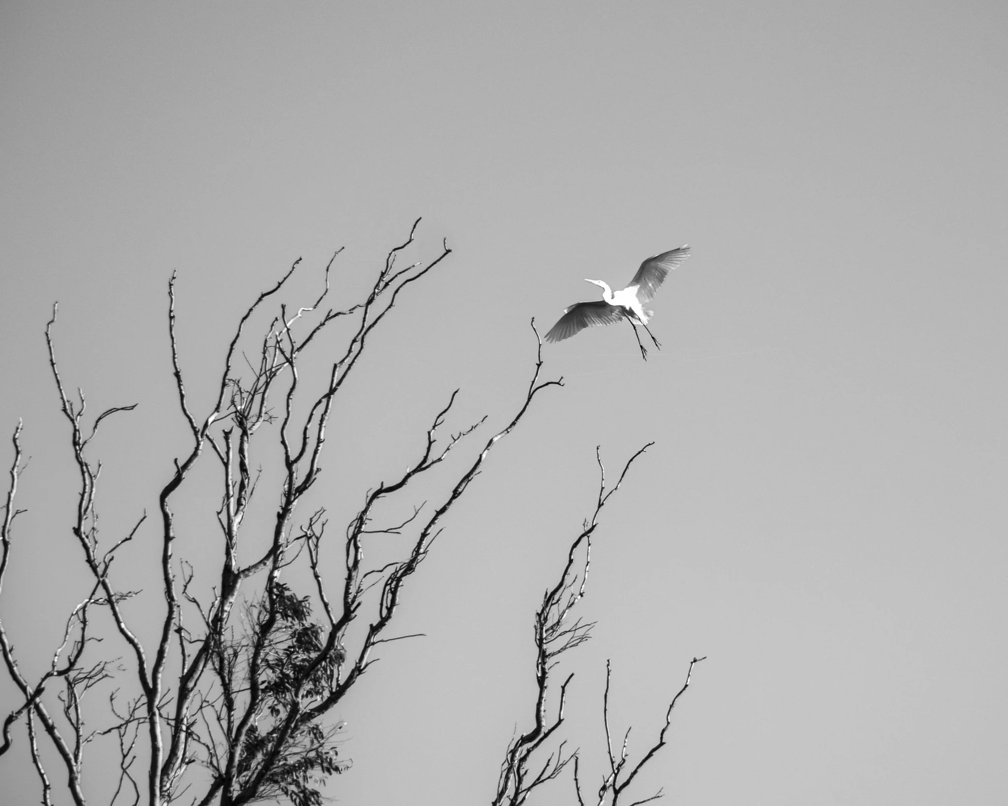 Naturaleza en la Costa
