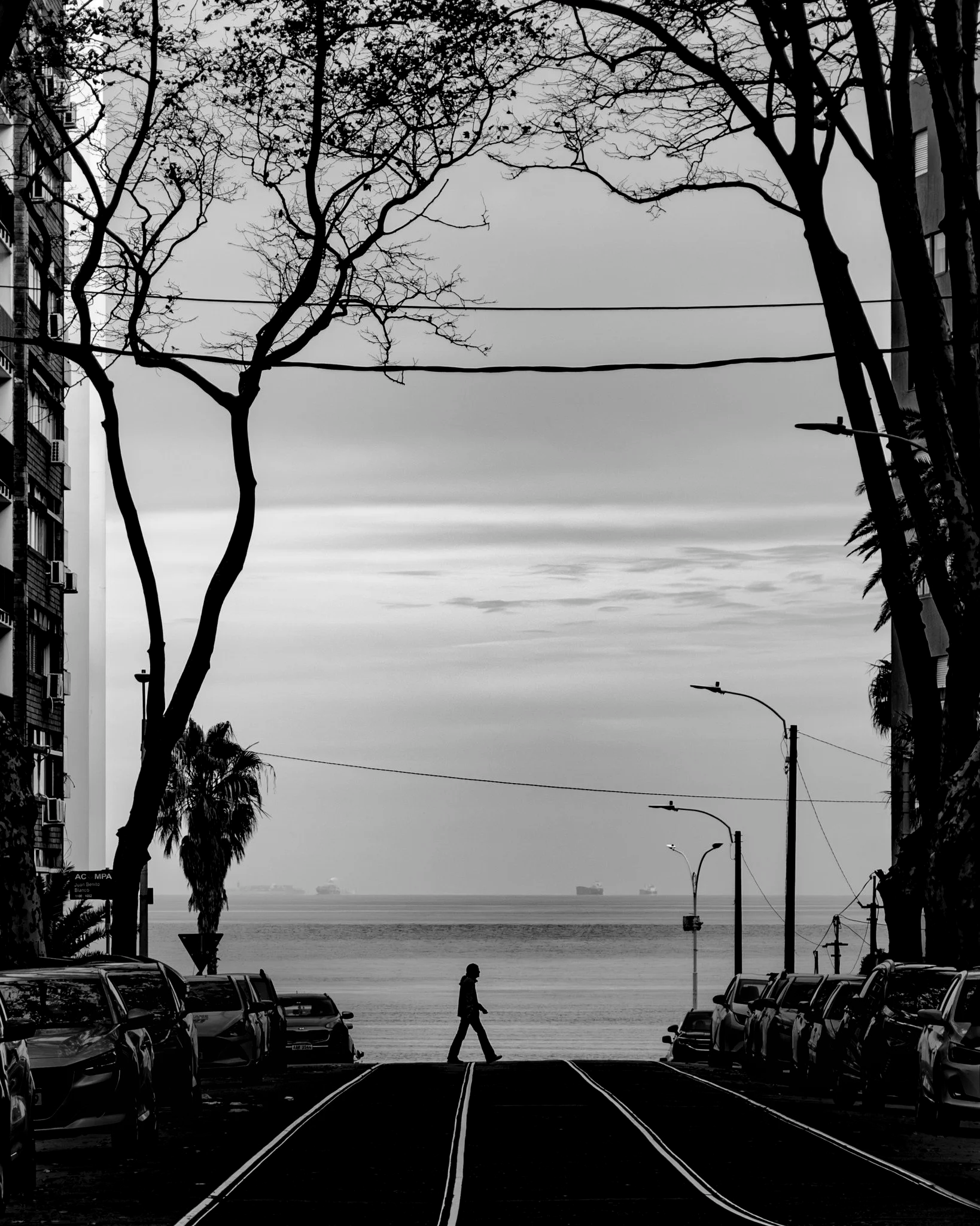 Caminando la ciudad