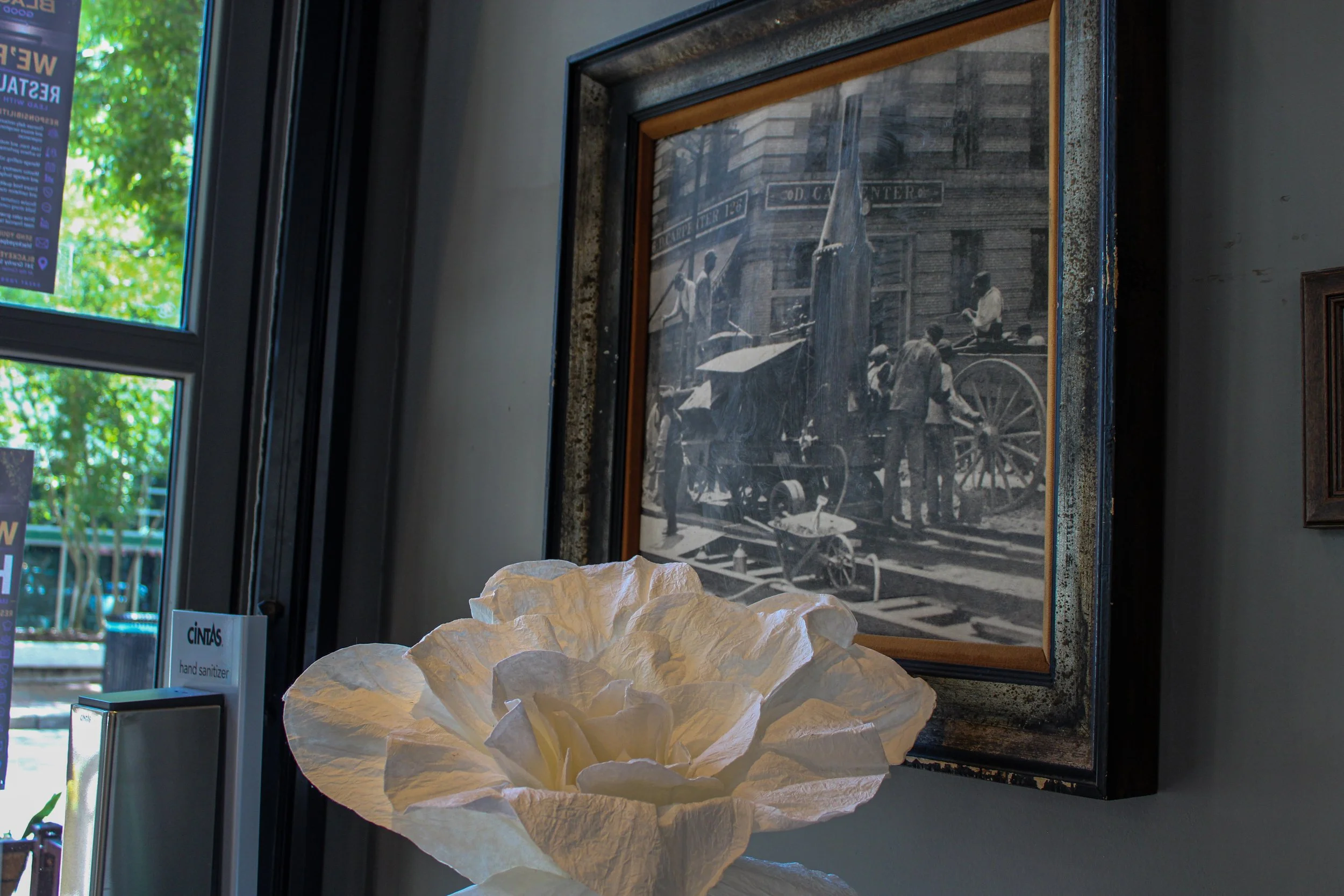 A framed black and white historical photograph on a wall, showing people and horse-drawn carts outside a building with a sign that reads 'Corrido C. Ganter.' In front of the photo, there are crumpled paper tissues and a sign indicating a hand sanitizer, with a partial view of a window showing green trees outside.
