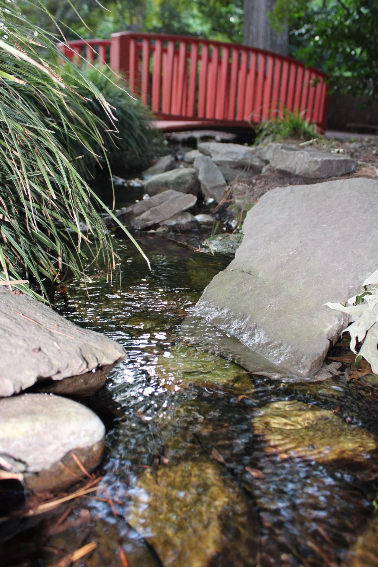 A small creek flowing over rocks, surrounded by greenery, with a red wooden footbridge in the background.
