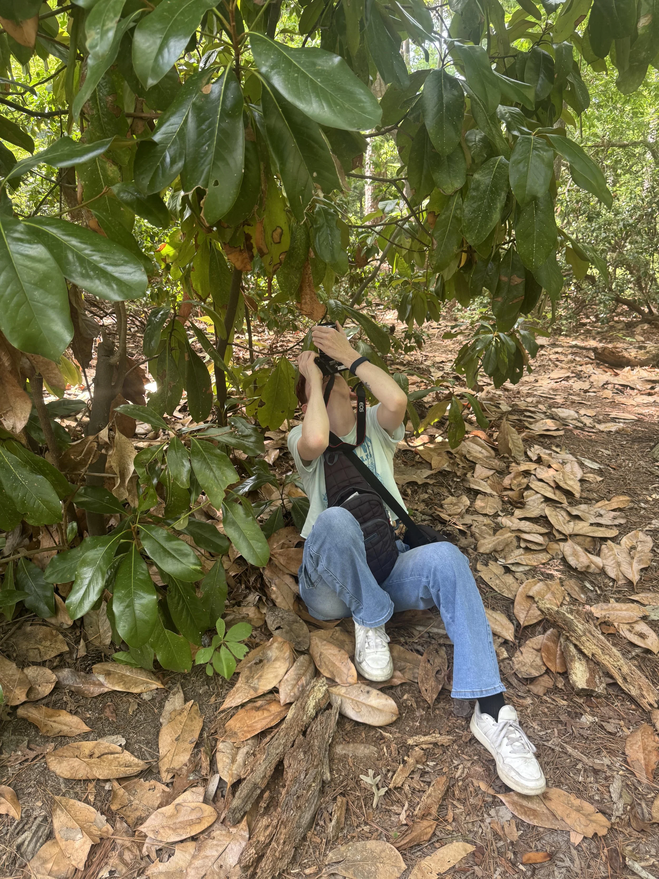 Person sitting on the ground in a forest, taking a photograph of a tree with large green leaves using a camera, with their legs stretched out and wearing white sneakers and blue jeans.