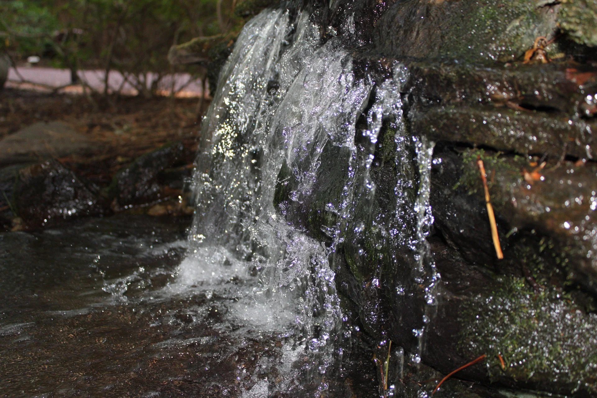Close-up of a small waterfall or stream flowing over rocks and moss in a natural setting.