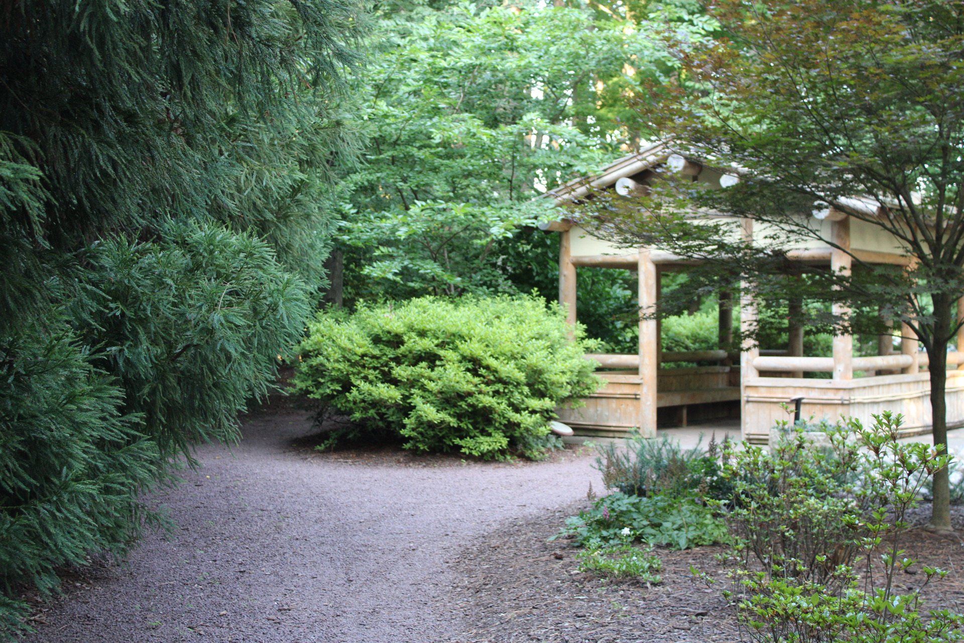 A wooden gazebo surrounded by lush green trees and shrubs in a garden or park setting.