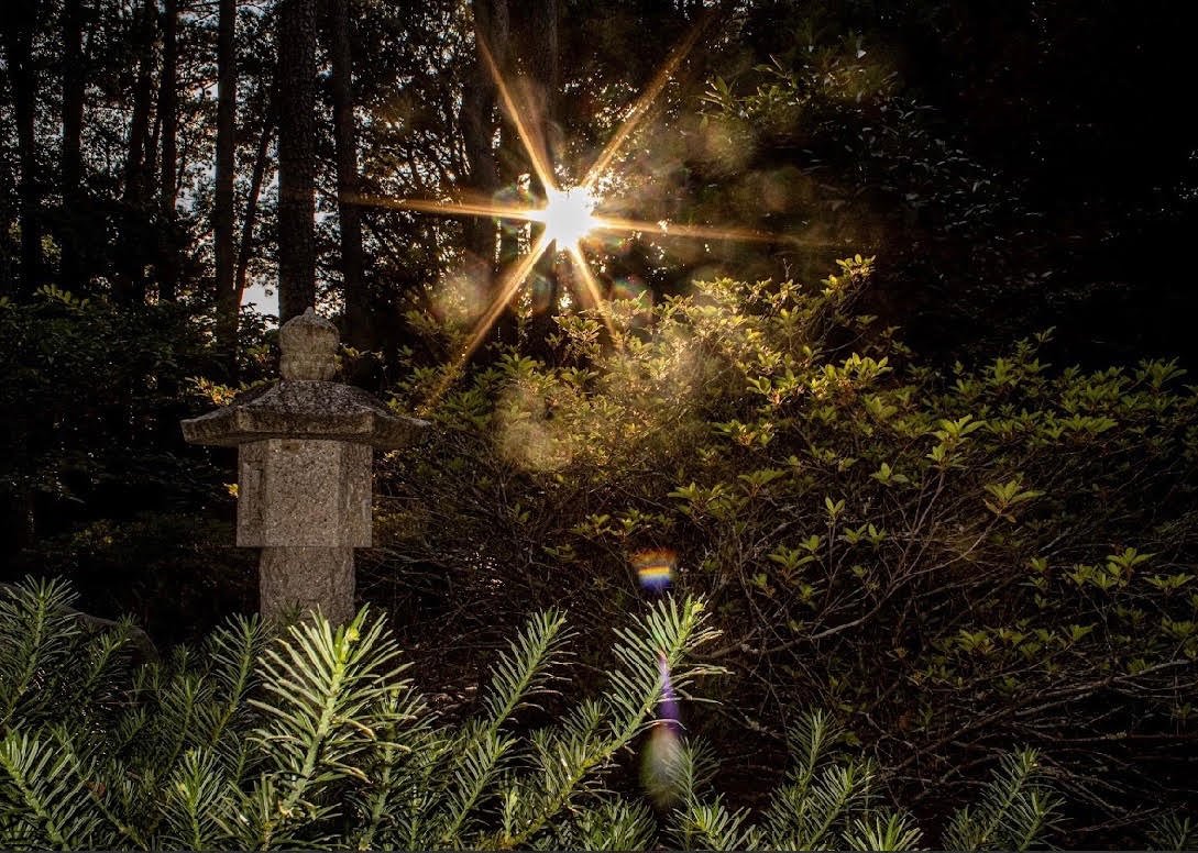 Between Light and Shadow