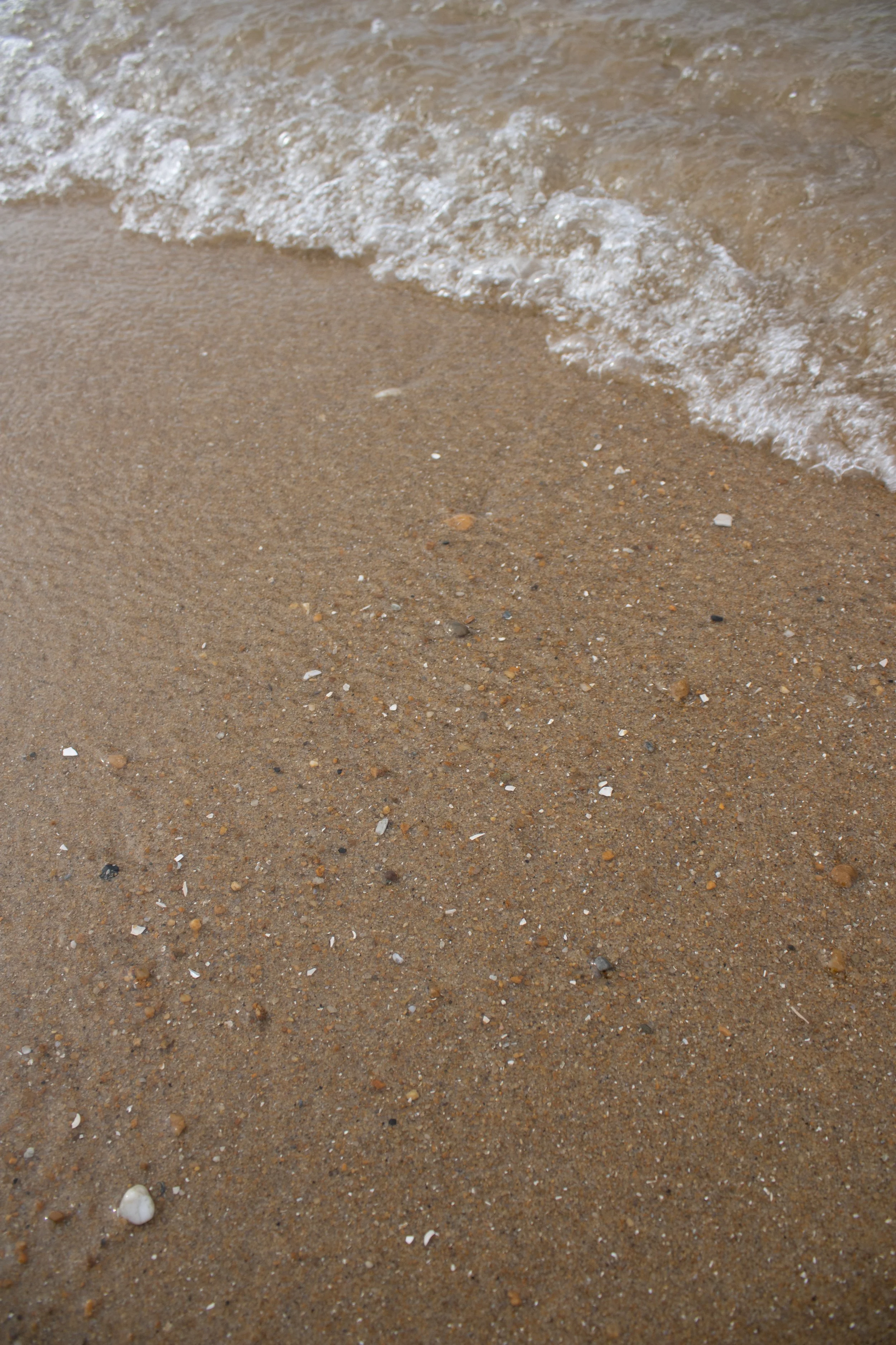 Close-up of a sandy beach with small seashells and pebbles, and gentle waves washing onto the shore.