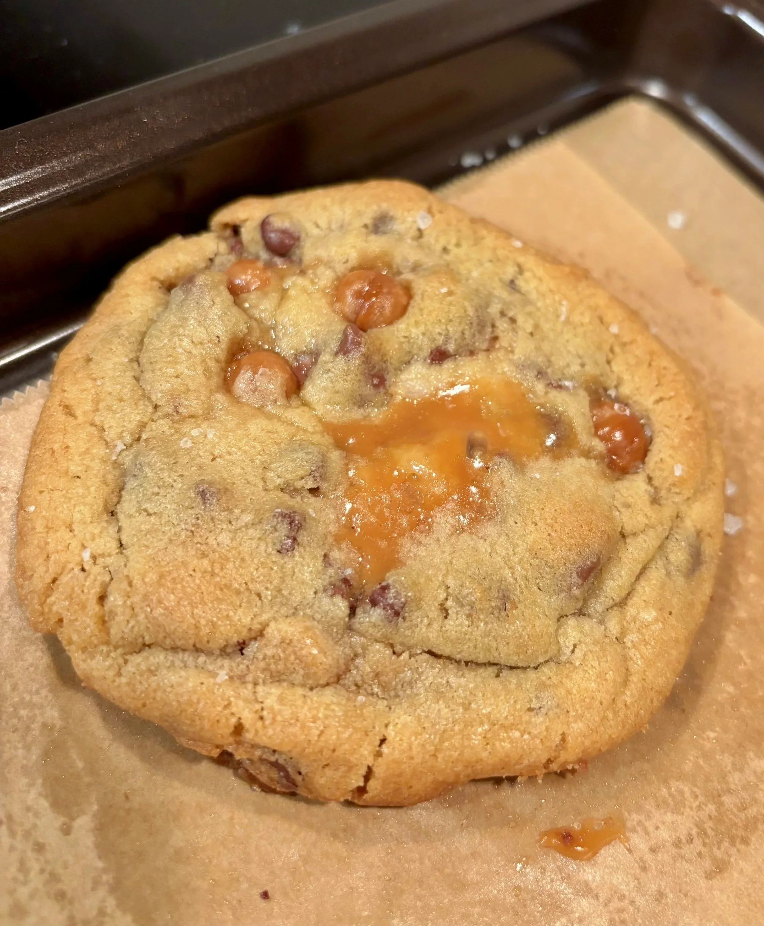 IMG_7997.jpg
