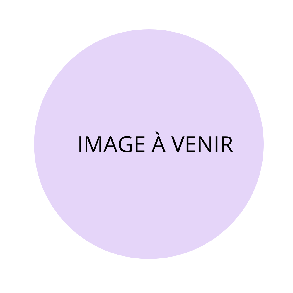 image-a-venir.png