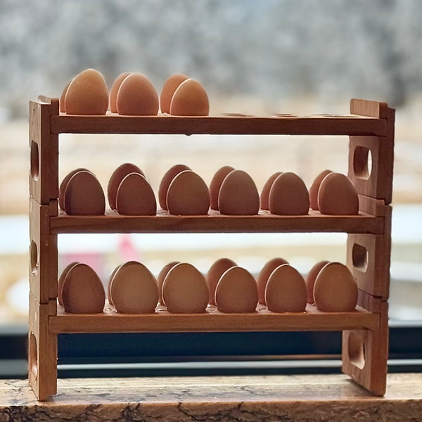 egg rack 4.png