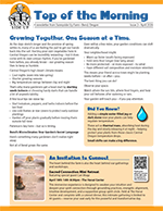 Newsletter titled 'Top of the Morning' with articles about growing together, a section on water, and a travel advertisement featuring a beach scene.