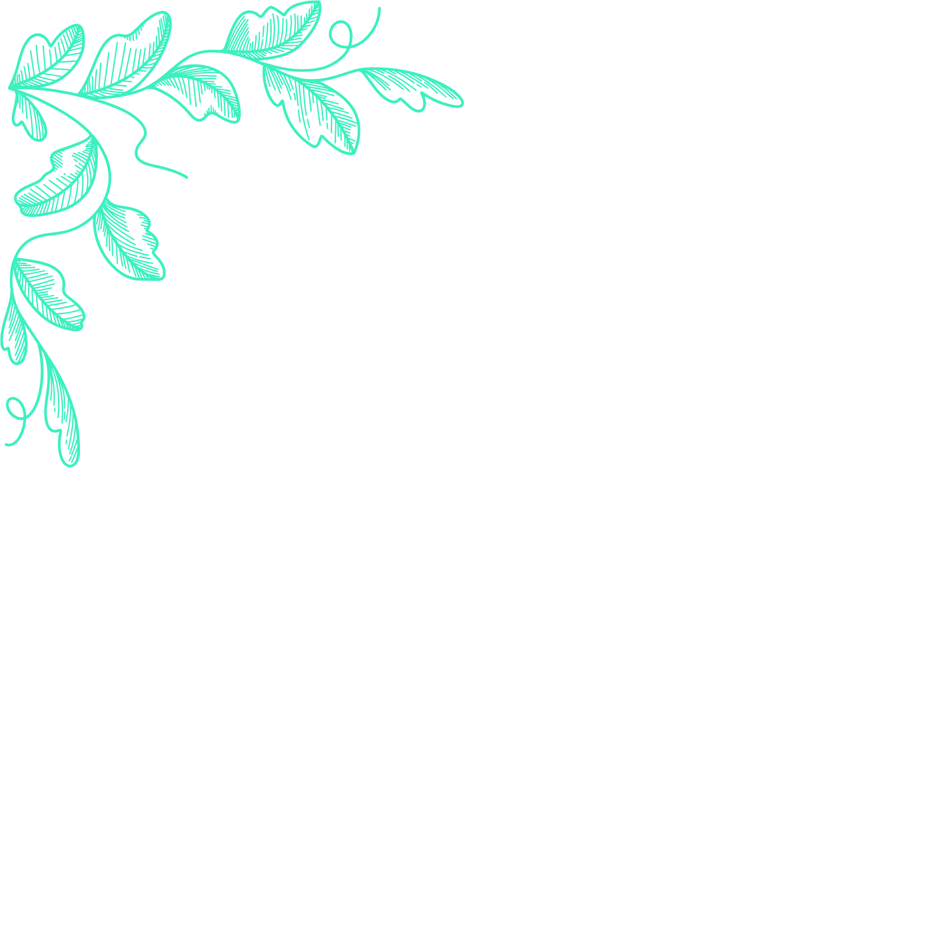 Teal outline of a branch with leaves on a black background, with the phrase "Good Vibes Only" written in black text.