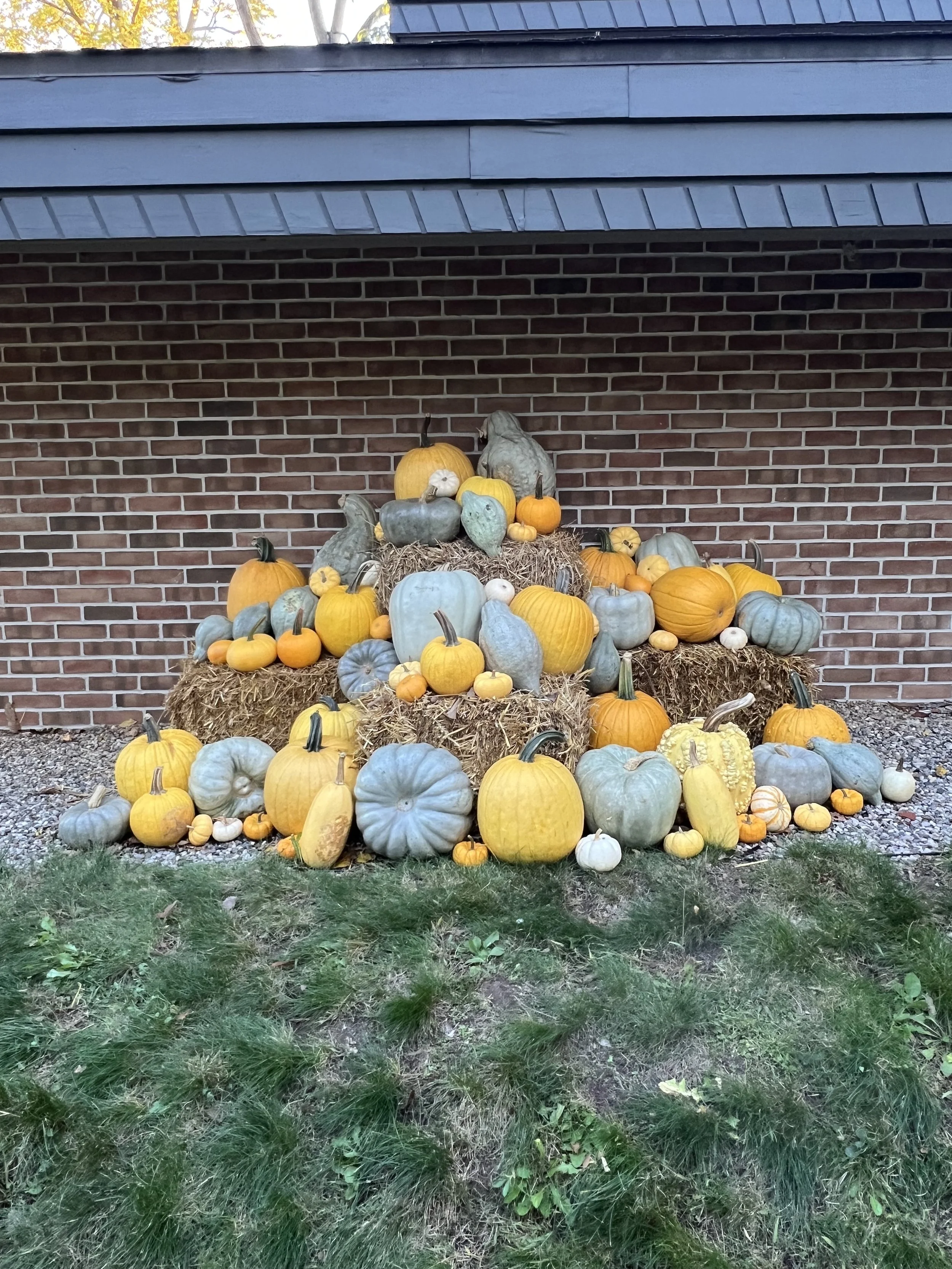 The Farmer's Porch - (Maize & Blue)