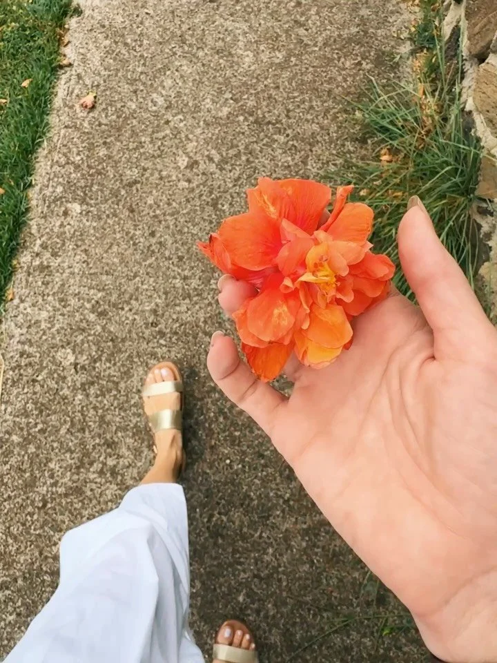 Color walking in the neighborhood of my teens. 🌺

#contemplativecolorwalking #colorwalk