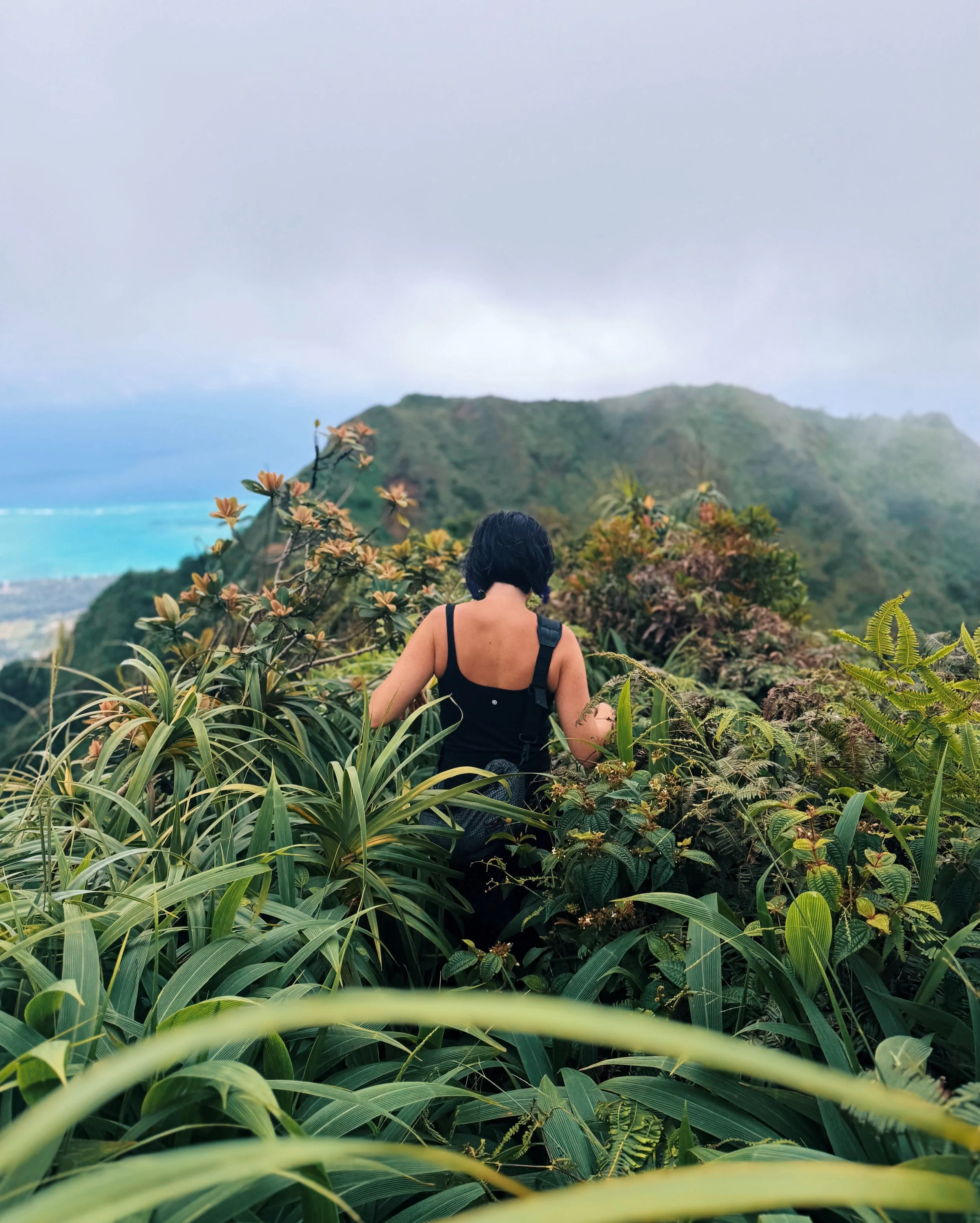 I found my preferred way to start August:

Go home to Oahu when the shower trees&hellip;

&hellip;and plumeria are blooming.

Go smell the flowers&hellip;

&hellip;and see art with Mom.

Wake up before sunrise&hellip;

&hellip;to hike the home ridge&