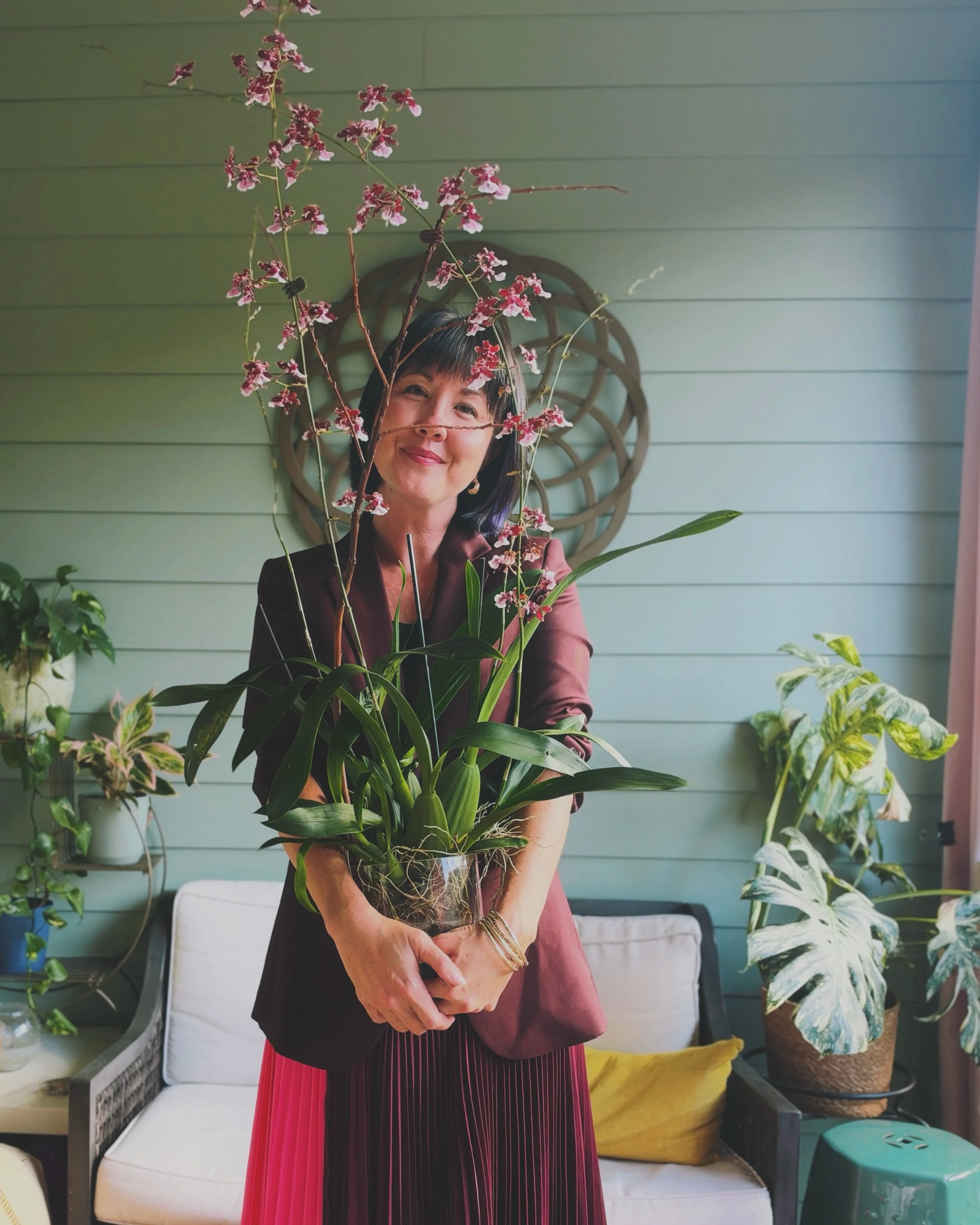 I&rsquo;ve been thinking about this since I was back home on Oahu: orchids have a reputation for being fragile and finicky, for being too sensitive or too demanding, for lacking resiliency. 

But&hellip;orchids also grow on the wind-swept volcanic ri