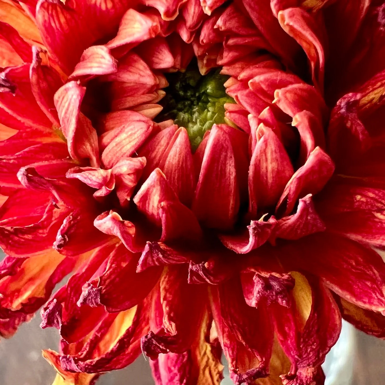 IMG_0922+%282%29.jpg