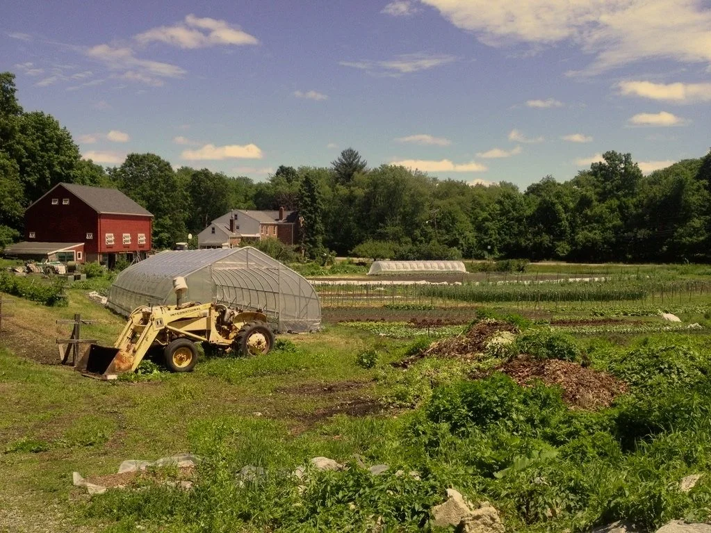 A farm with greenhouses and cultivated fields, a yellow tractor, and houses in the background under a partly cloudy sky.