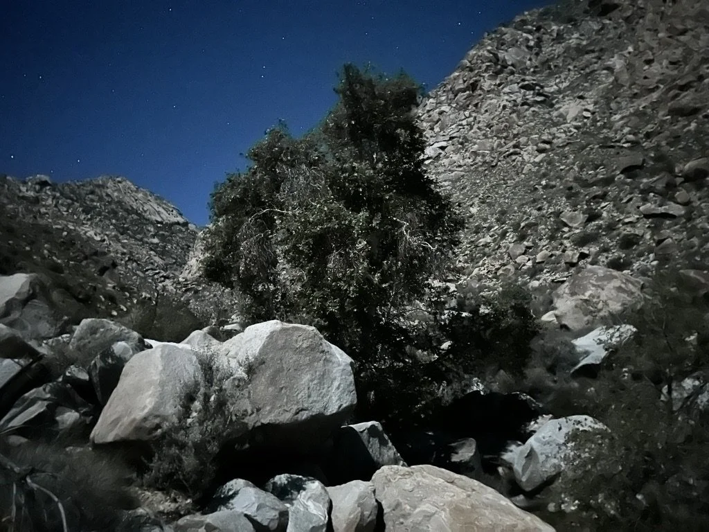 Winter Desert Fast with Animas Valley Institute—Guide Apprenticeship