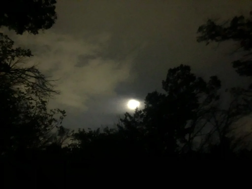 June Moon - Our Village Blessing the Web of Life with Animas Valley Institute (Guide Apprenticeship)