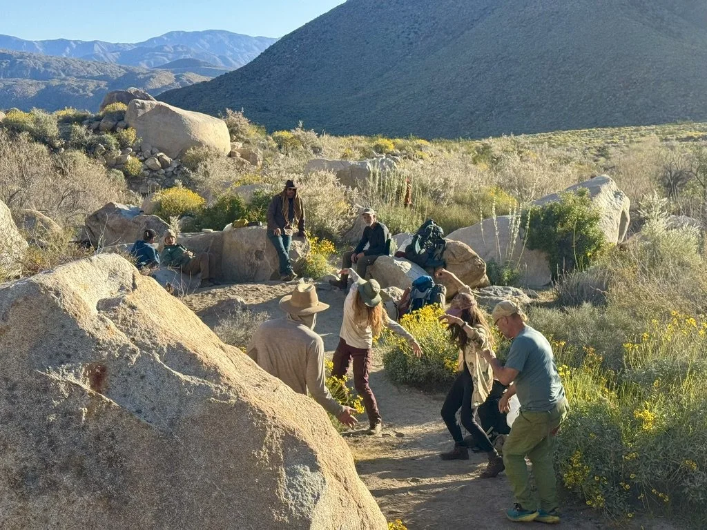 Group of people moving and exploring a dirt trail in a desert landscape with large rocks, yellow wildflowers, and mountains in the background.