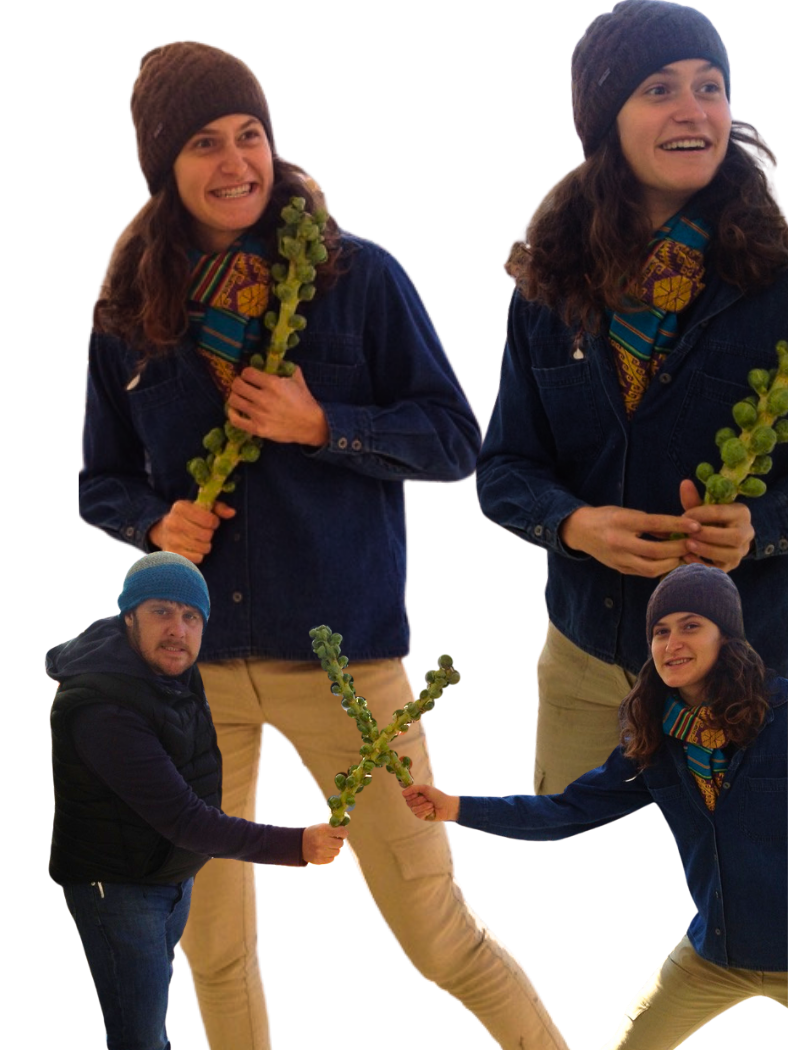 Collage of a woman and man pretending to sword fight with brussel sprout stalks.