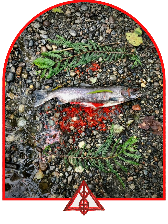 A fish lying on rocky ground surrounded by red roe and green fern leaves.