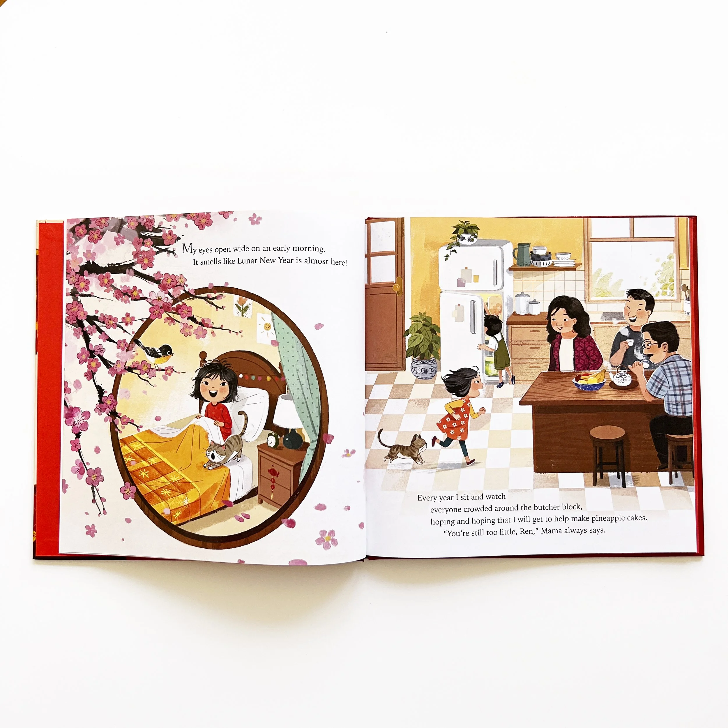 A children's book about Chinese new year and lunar new year.