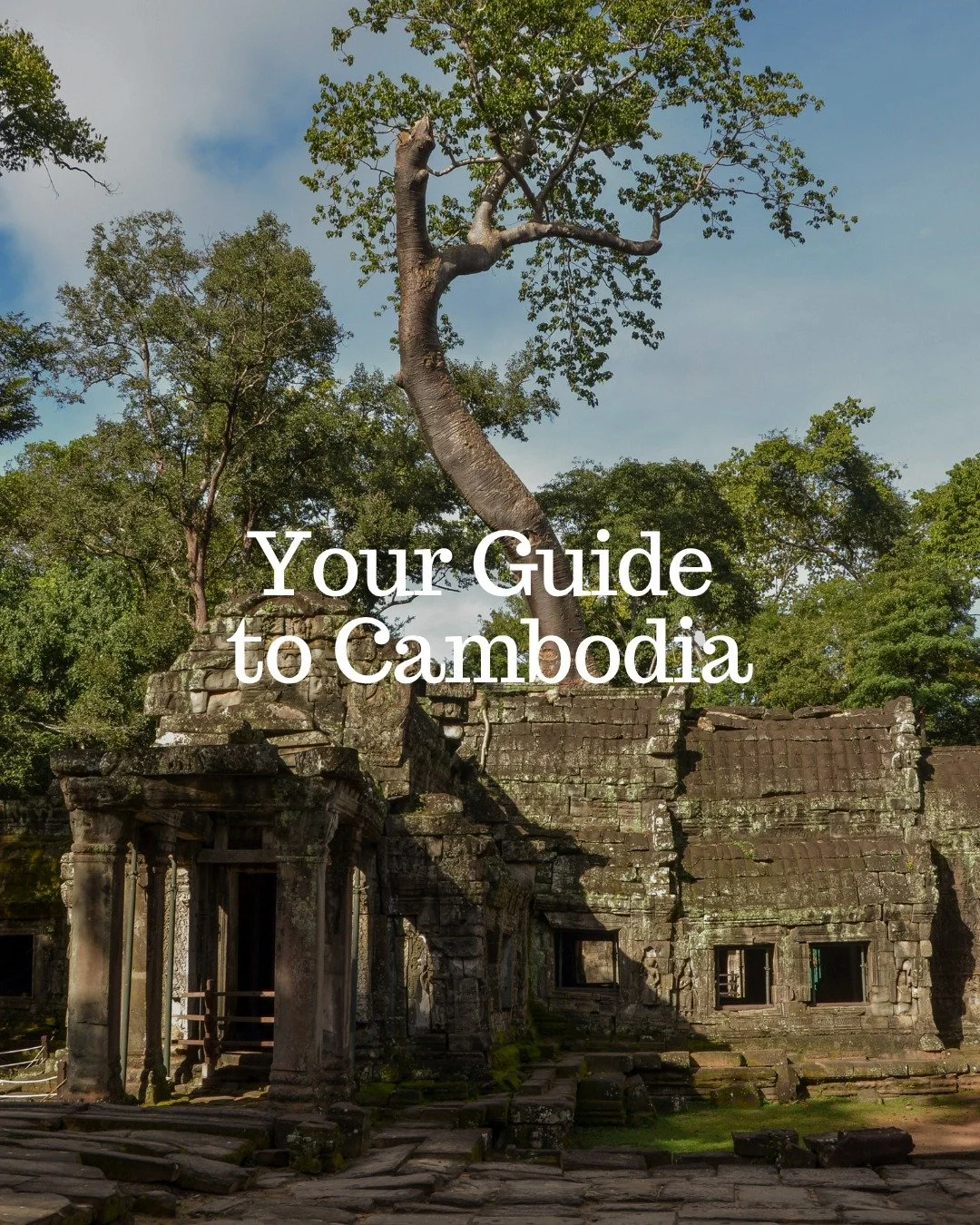 Cambodia is a country where ancient history, resilient culture, and everyday life come together in remarkable ways. 

📍Siem Reap draws travelers from around the world to explore the Angkor Wat complex, jungle-covered ruins, and other intricately car