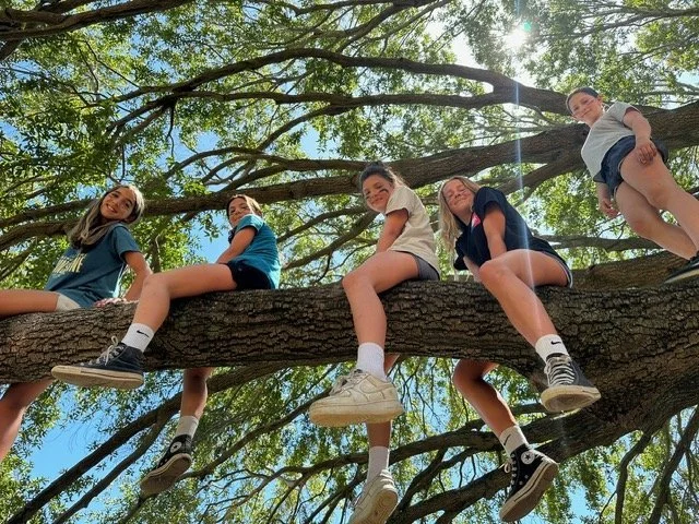 6thtree.JPG