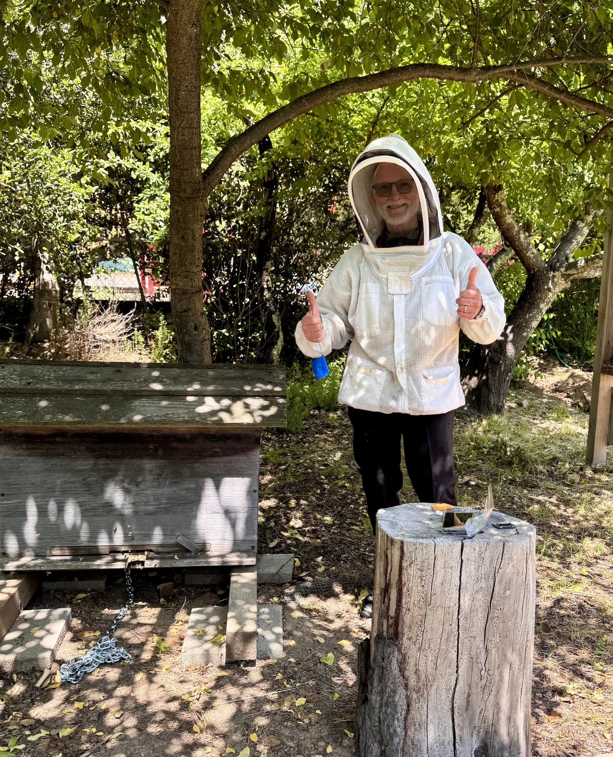 beehive02.jpg